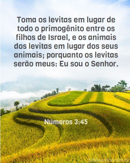 CULTO DE LEVITAS